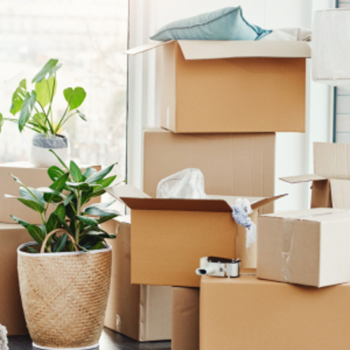 12 Tips for a Smoother Moving Day | Lauren Zurilla & Associates