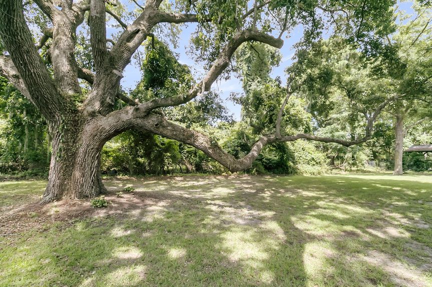 CREM - 3513 Flowering Oak Way-9