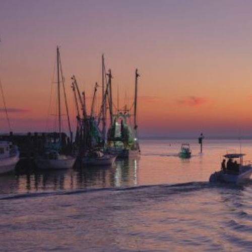 Living in Mount Pleasant, SC: Pros, Cons & What to Expect in This Coastal Town