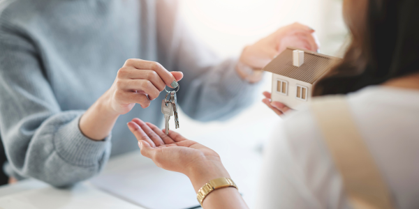 Untitled design (56)