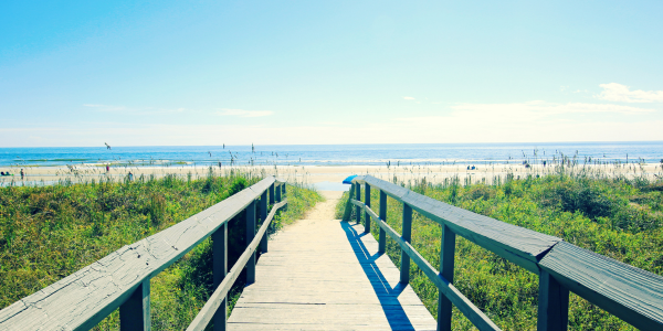 Untitled design (58)