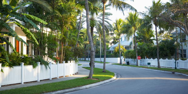 Untitled design (62)