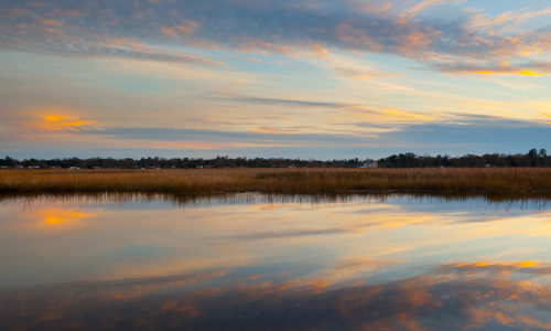 Living in Wando, Cainhoy, and Point Hope: The Peni…