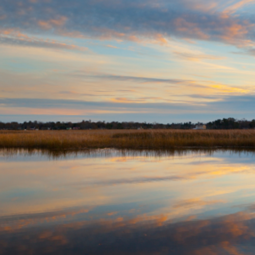 Living in Wando, Cainhoy, and Point Hope: The Peninsula Where History Meets the Future