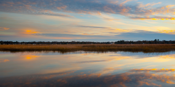 Untitled design (66)