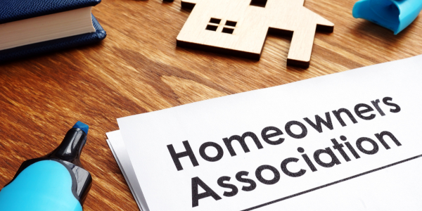 Untitled design (72)