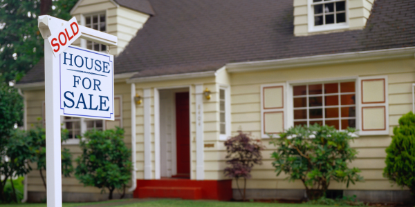 Untitled design (73)