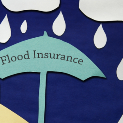 Do I Need Flood Insurance? A First-Time Charleston Home Buyer’s Guide
