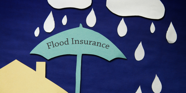 Untitled design (77)