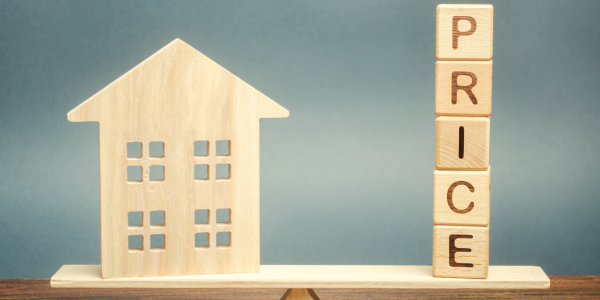 Untitled design (92)