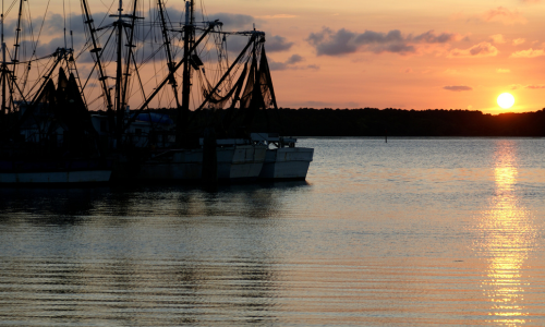 Living in Awendaw, McClellanville and Huger, SC: W…