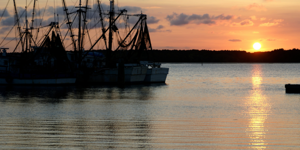 Untitled design (94)