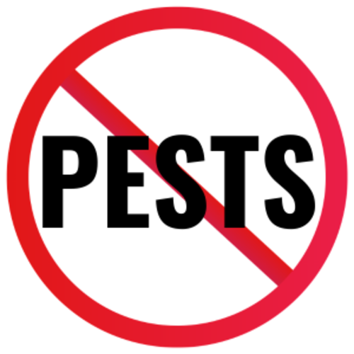Don't Let Pests Move In: A Charleston Homeowner's Spring Pest Guide