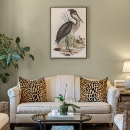 Does Professional Photography Really Affect Your Home Sale? A Charleston Area Seller’s Guide