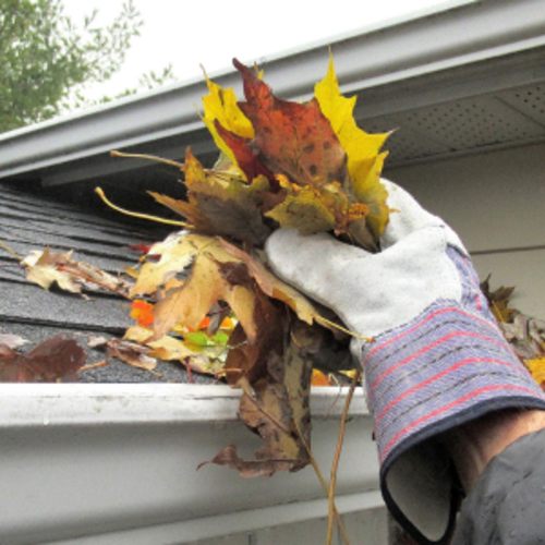 Fall Home Prep for Sellers: Getting Your Mount Pleasant, SC Home Market-Ready