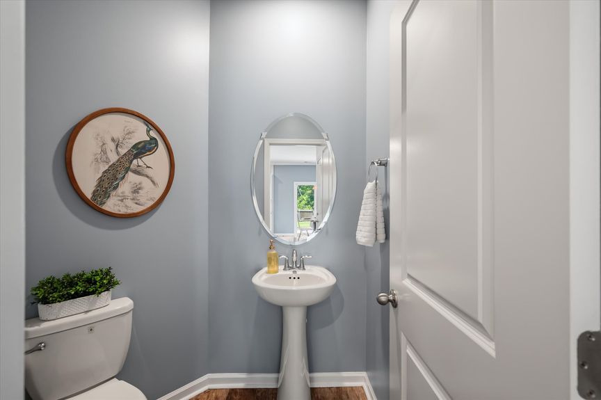 22-312 Witch Hazel_i_Lowcountry_Exposure-25