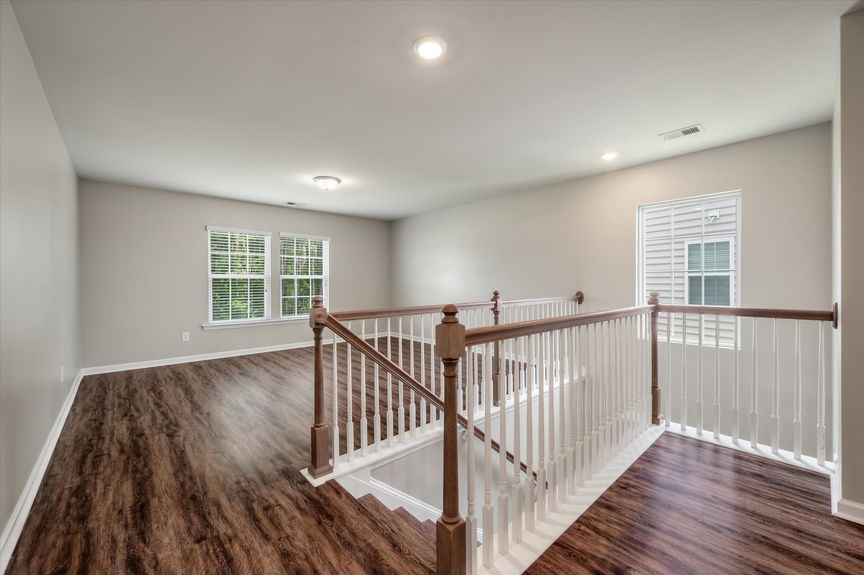 24-312 Witch Hazel_i_Lowcountry_Exposure-10