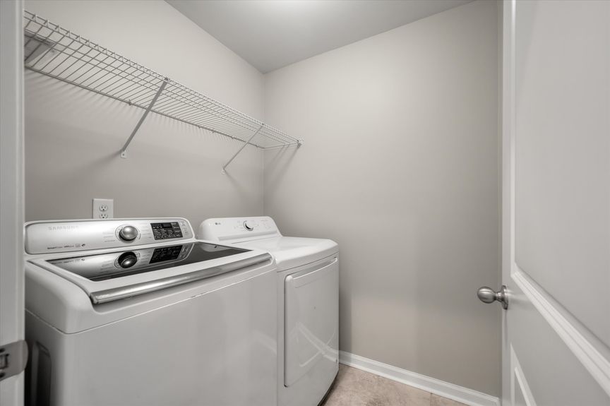 40-312 Witch Hazel_i_Lowcountry_Exposure-15