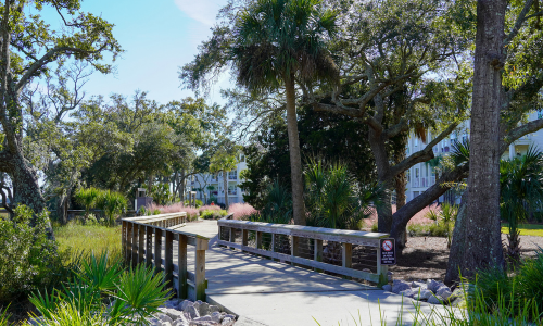 What Does Daniel Island's Master Plan Mean for Buy…