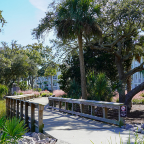 What Does Daniel Island's Master Plan Mean for Buyers in 2026?