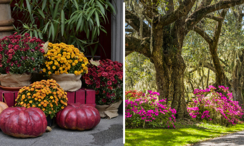 Should I Sell My Charleston-Area House Now or Wait&hellip;