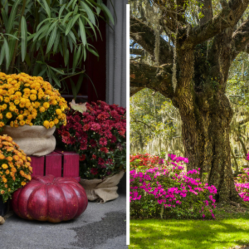 Should I Sell My Charleston-Area House Now or Wait Until Spring?