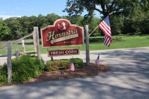 Cohasset MA Area Ice Cream Stands