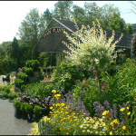 Bill Tierney Cohasset Ma Everry Bloomin Thing best local nurseries