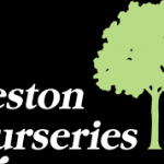 Bill Tierney Cohasset Ma Weston Nurseries best local nurseries