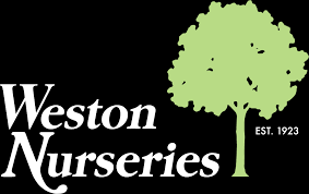 Bill Tierney Cohasset Ma Weston Nurseries best local nurseries
