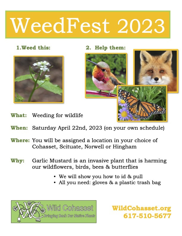 Cohasset Weedfest 2023