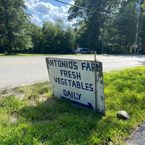 From Farm to Table: A Look at Scituate's Agriculture Scene