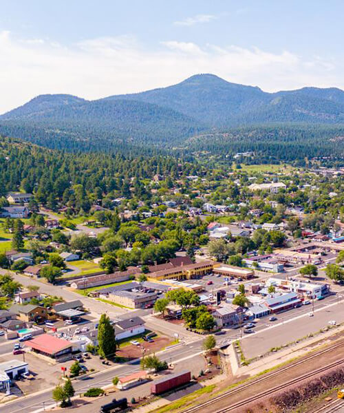 Williams-real-estate