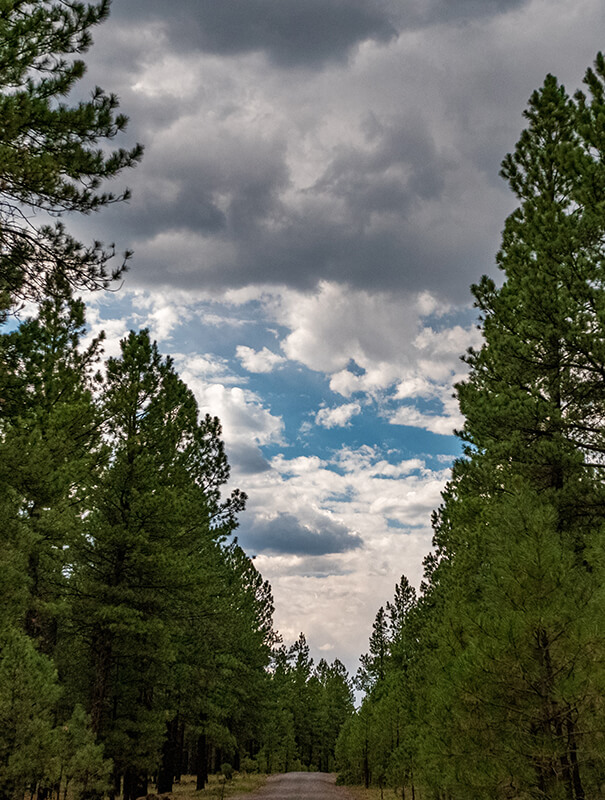 flagstaff-real-estate