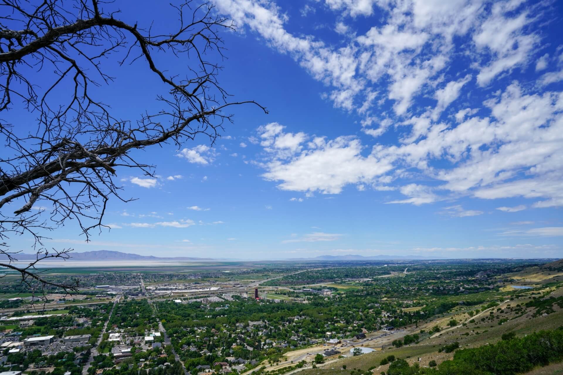 Davis County Modern Main Real Estate