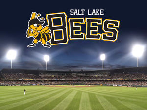 bees-800x6001_fae69a76-f122-baad-f1c9152405173959