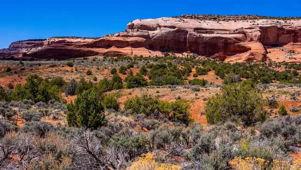 Moab Photo-4-2-min