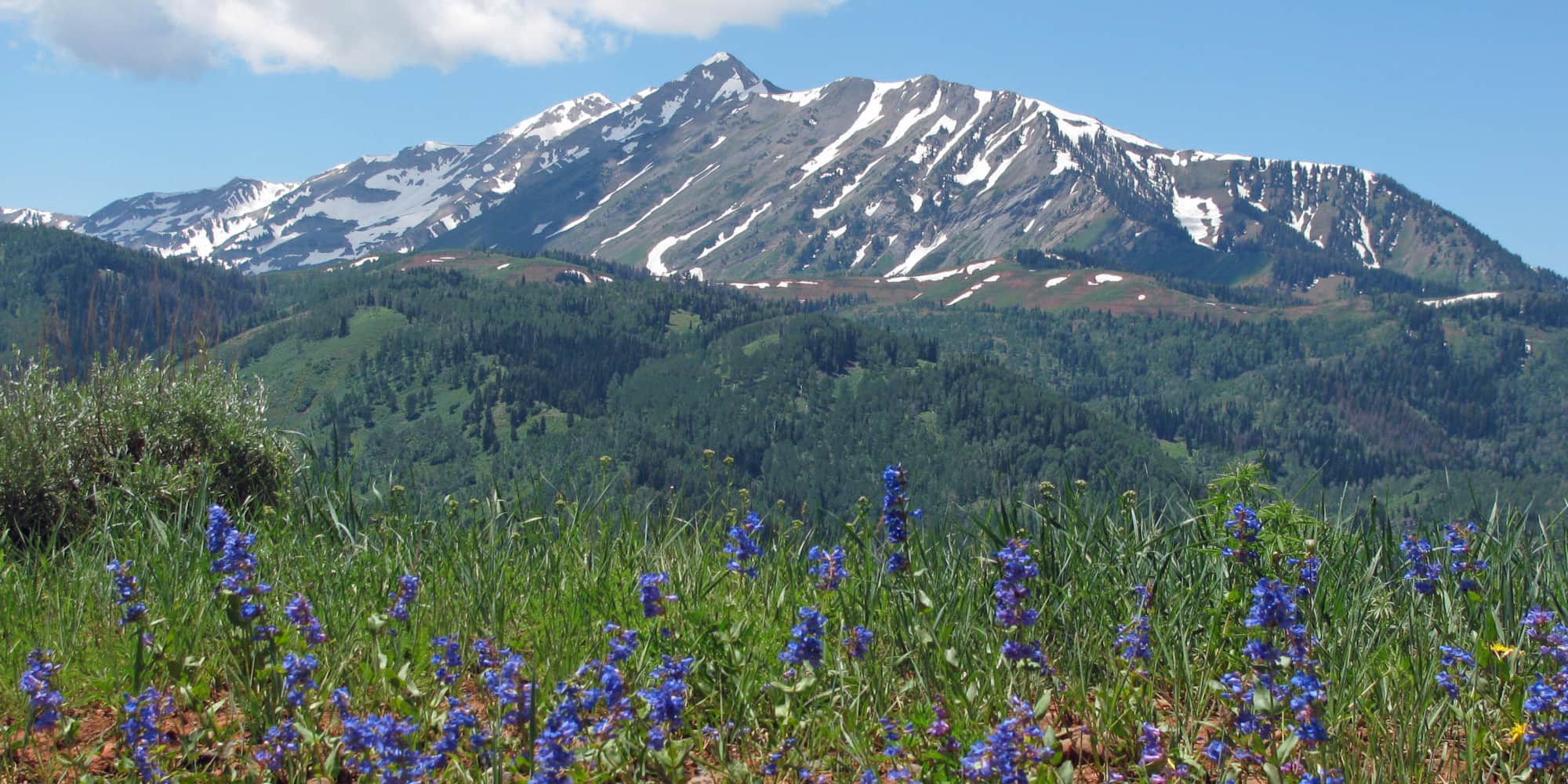 Scenic Views and Outdoor Access