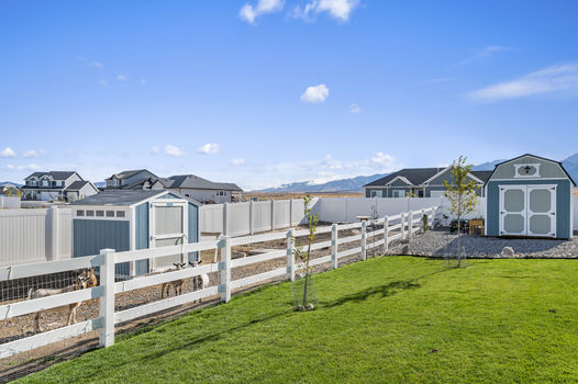 NZ6_8954