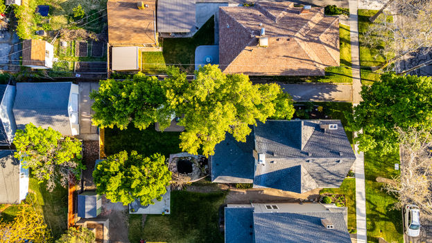 DJI_0365-3