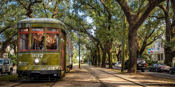 Mardi Gras 2027: Find Your Perfect New Orleans &hellip;