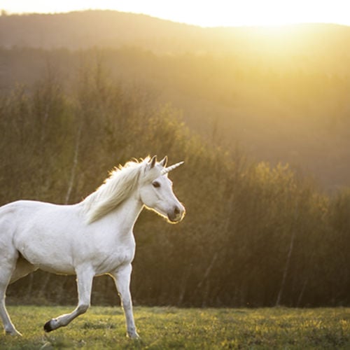 Reality Checks In: The Real Estate Market After the Unicorn Boom