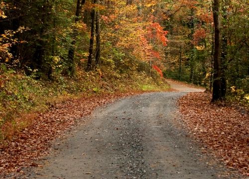 ellijay_510x384