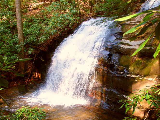 Fannin County