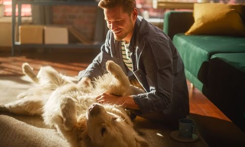 Pet-Friendly Home Features That Boost Value