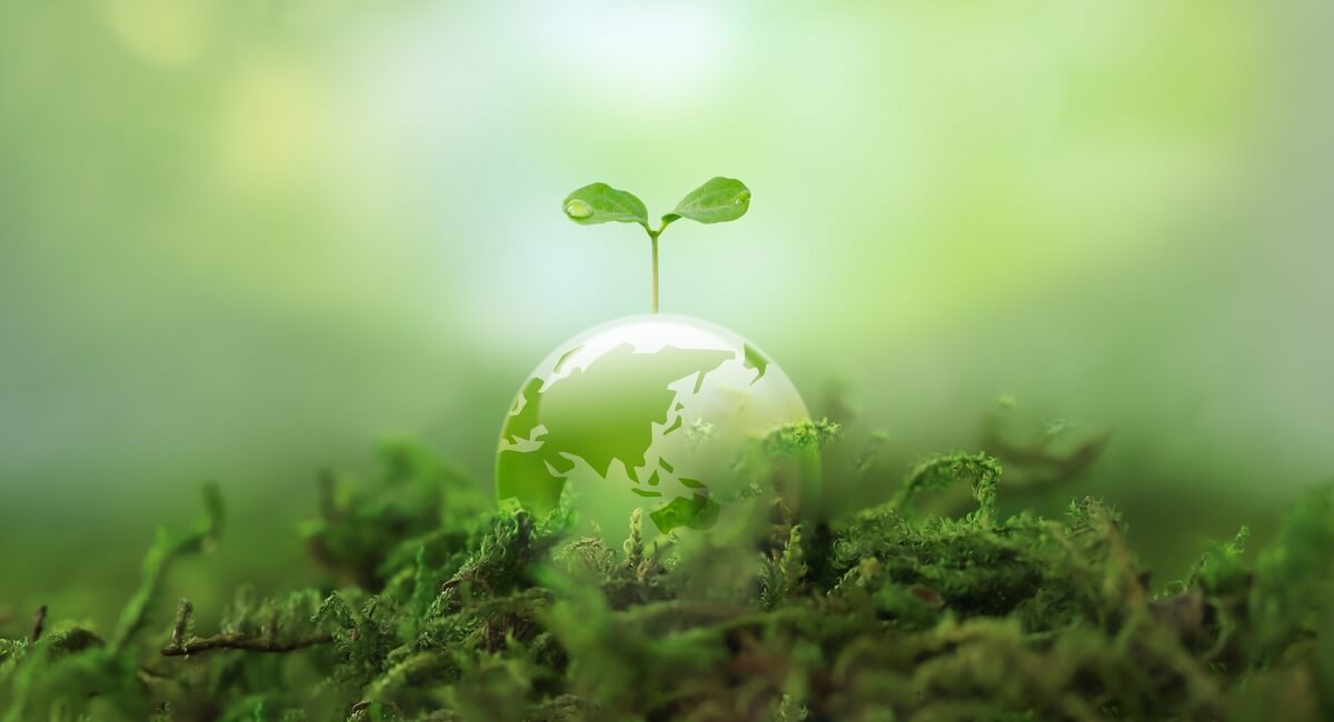 Energy Efficiency