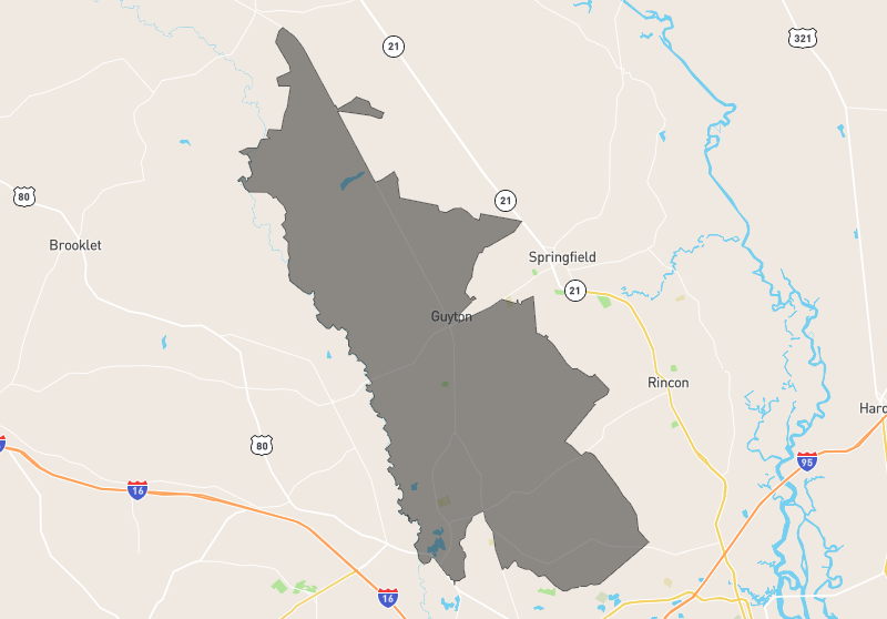 Guyton Savannah Views Realty