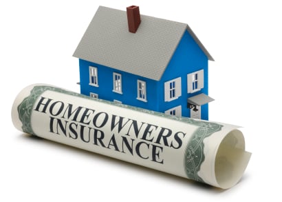 Homeowners Insurance Updates by The Red Tree Team