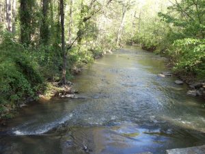 Creek in Jemison Park in Beautiful Mountain Brook, Alabama image