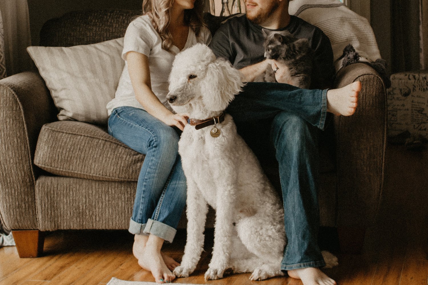 ensuring your new home is pet friendly image